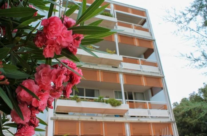 Saporedimare - Full Comfort Quiet With Seaview Rooftop Pool Marina di Pietrasanta